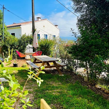 La Cave Marine Du Trottel Lejlighed Ajaccio  Eksteriør billede